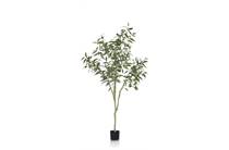 Coco Maison Eucalypthus Tree plant H195cm 